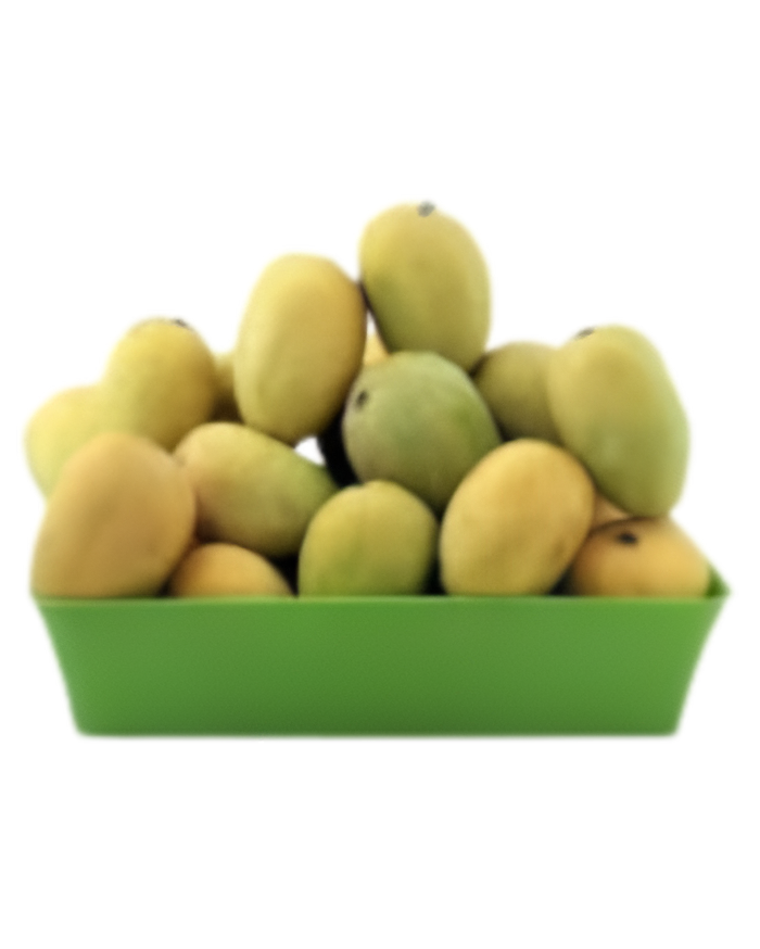 Anwar Ratol – 1 box (8KG)