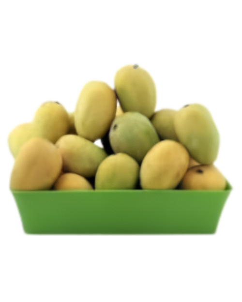 Anwar Ratol – 1 box (8KG)